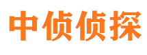 东兰寻人公司